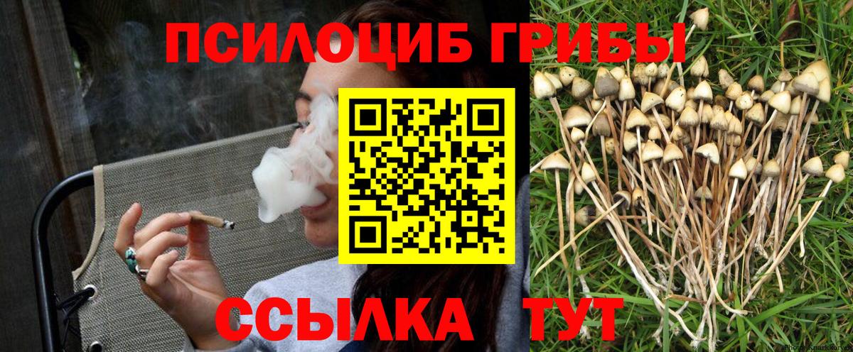 Псилоцибиновые грибы Cubensis Волгодонск