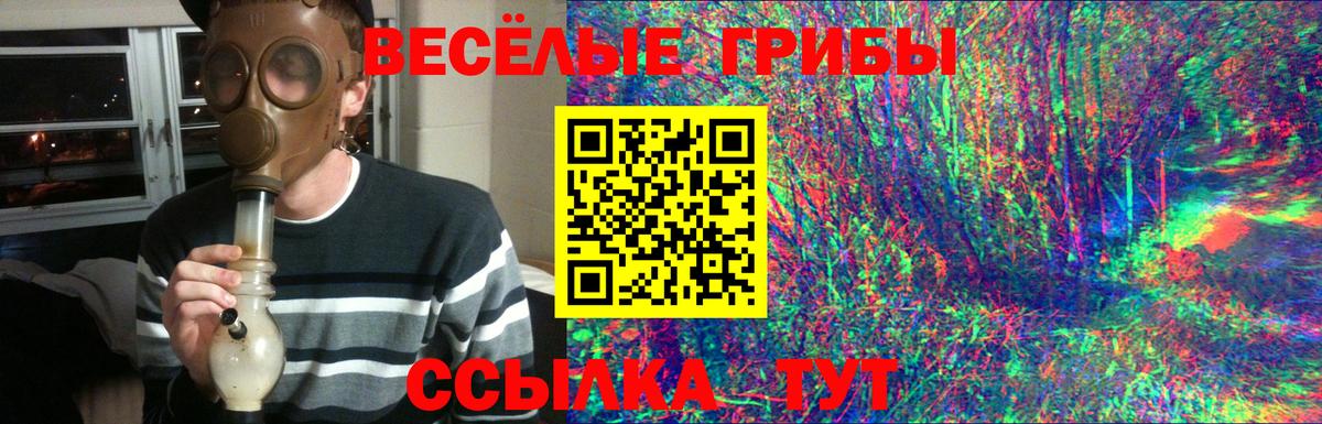Волгодонск  Галлюциногенные грибы Psilocybe  магазин    Вход с VPN 